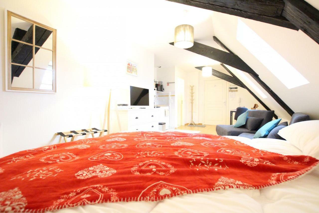 Colmar Historic Center - Cosy Studio Petit Cathedrale 1 - Bookingalsace Extérieur photo